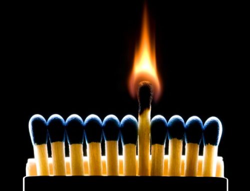 CEO’s Brand New Bag