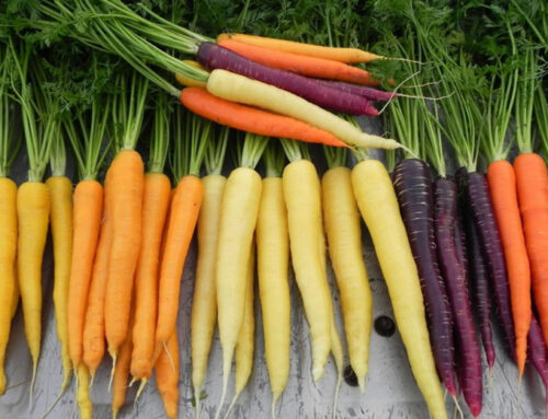 You Can’t Incentive Your Way Out Of Performance Pain